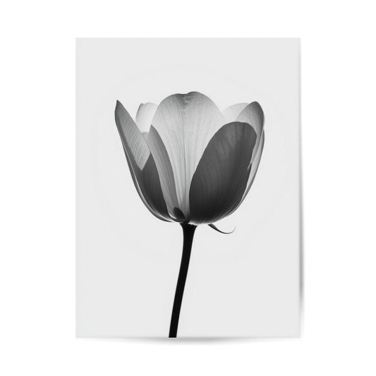 Boatnisches Poster, Minimalistisches Design, Schlichte Dekoration, Schlichtes Poster, Florales Design, Poster für Zuhause, Poster für Küche Esszimmer Schlafzimmer Wohnzimmer, Tulpen Poster 