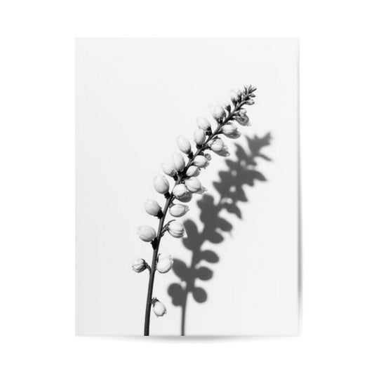 Boatnisches Poster, Minimalistisches Design, Schlichte Dekoration, Schneebere Poster, Florales Design, Poster für Zuhause, Poster für Küche Esszimmer Schlafzimmer Wohnzimmer 